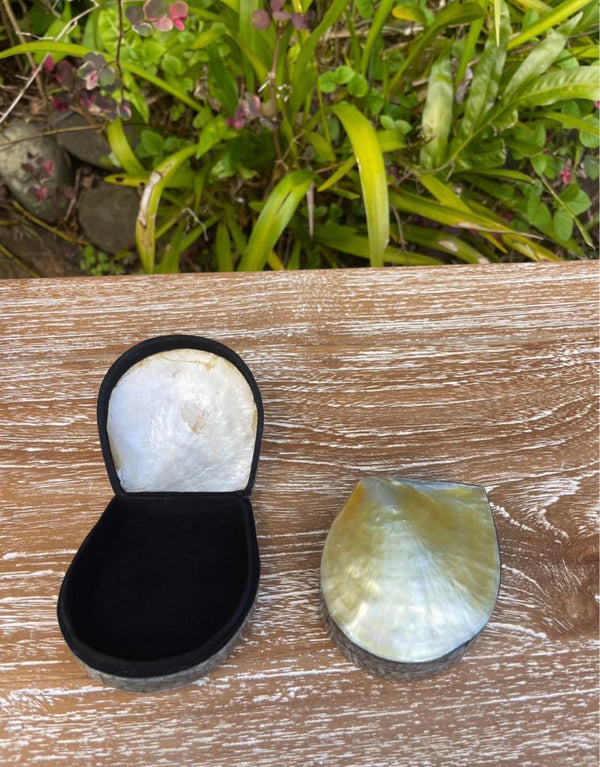 Mini Mother of Pearl Shell Box · Velvet Lined Keepsake