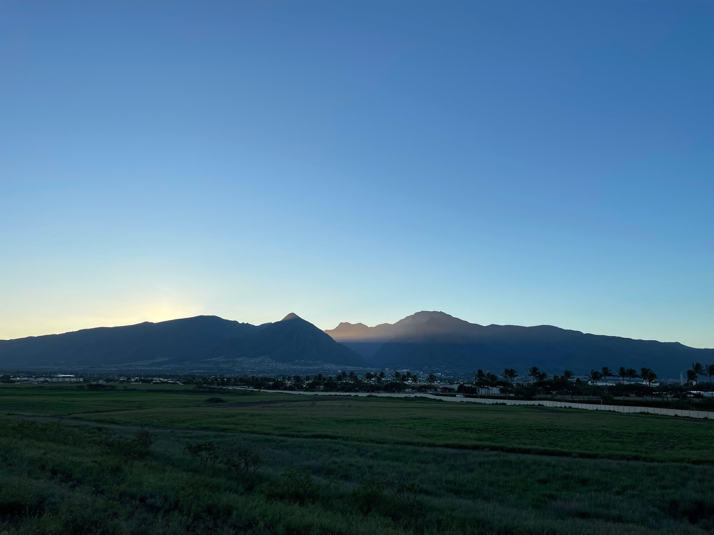 Made on Maui