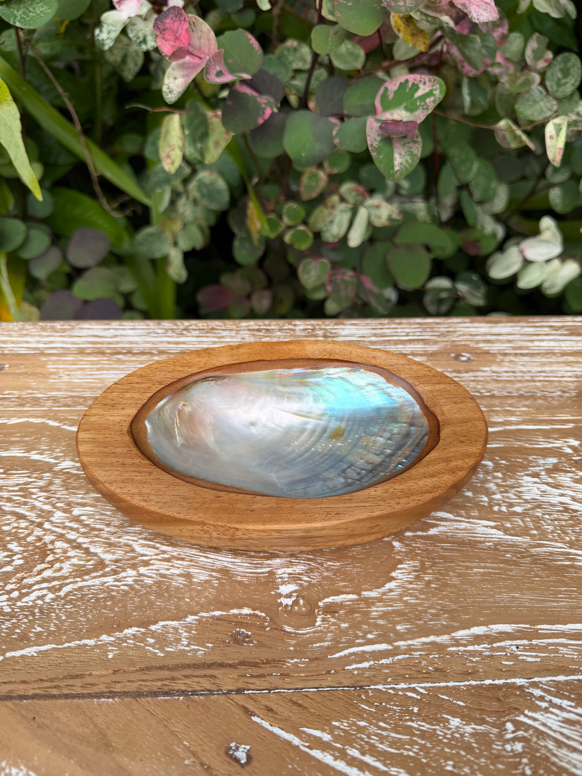 Teak & Mother of Pearl Shell Dish · Small or Medium