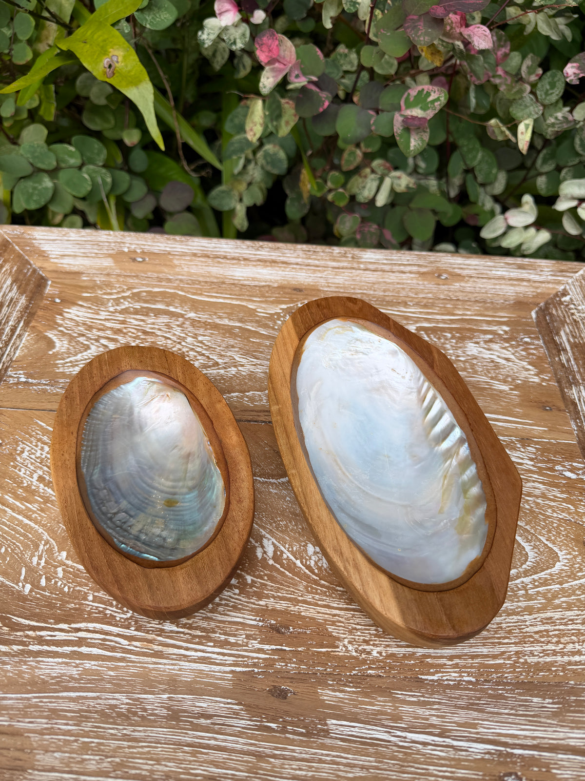 Teak & Mother of Pearl Shell Dish · Small or Medium