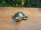 Brass Sea Turtle Statue — Large — Balinese Bronze — Hand-Cast