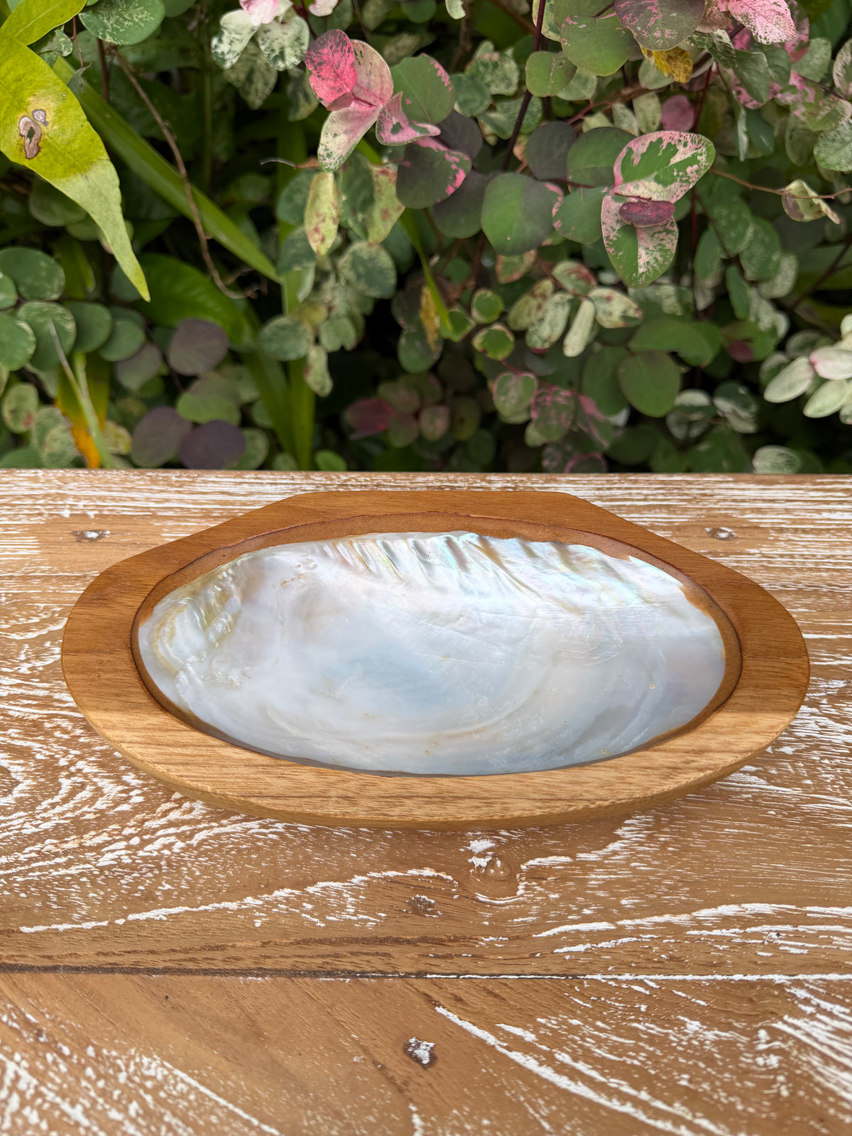 Teak & Mother of Pearl Shell Dish · Small or Medium
