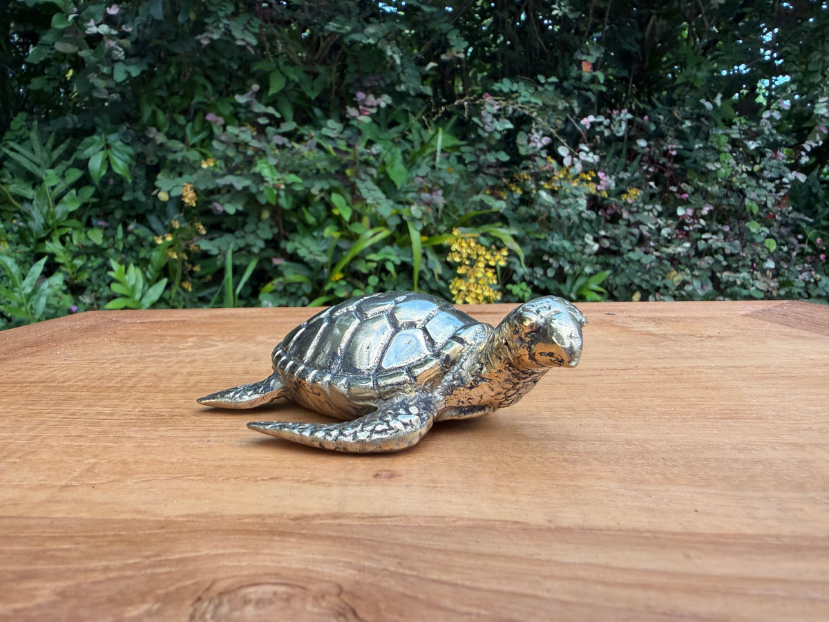 Brass Sea Turtle Statue — Large — Balinese Bronze — Hand-Cast