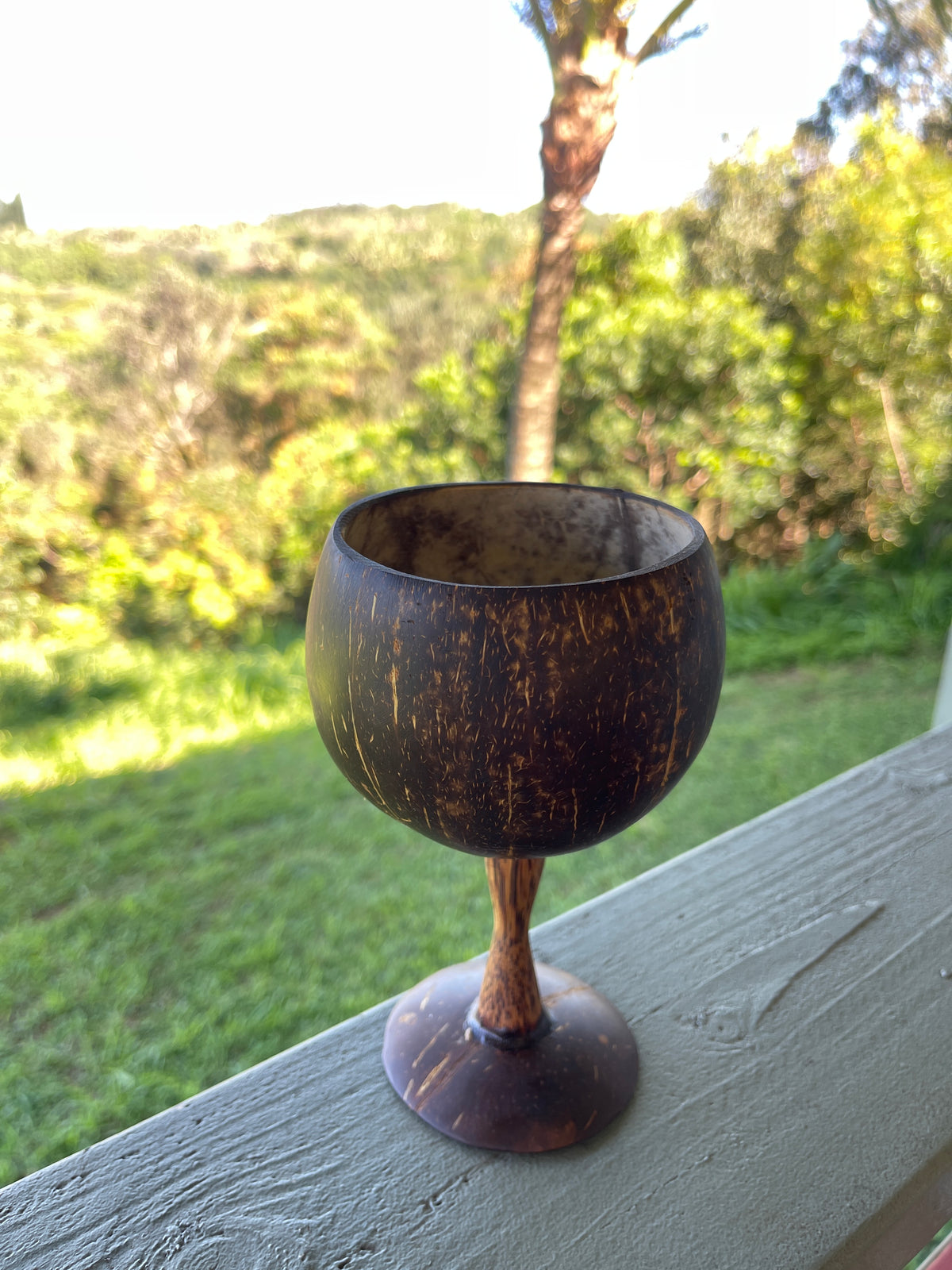 Natural Coconut Shell Chalice · Coconut Wood Stem · Handmade Goblet