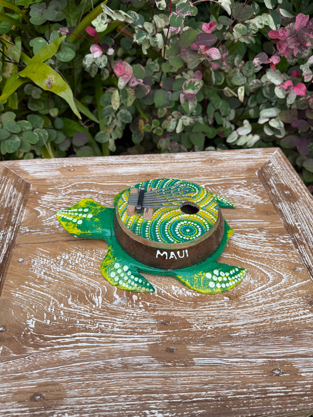 Hand-Painted Sea Turtle Kalimba · Coconut Shell Thumb Piano