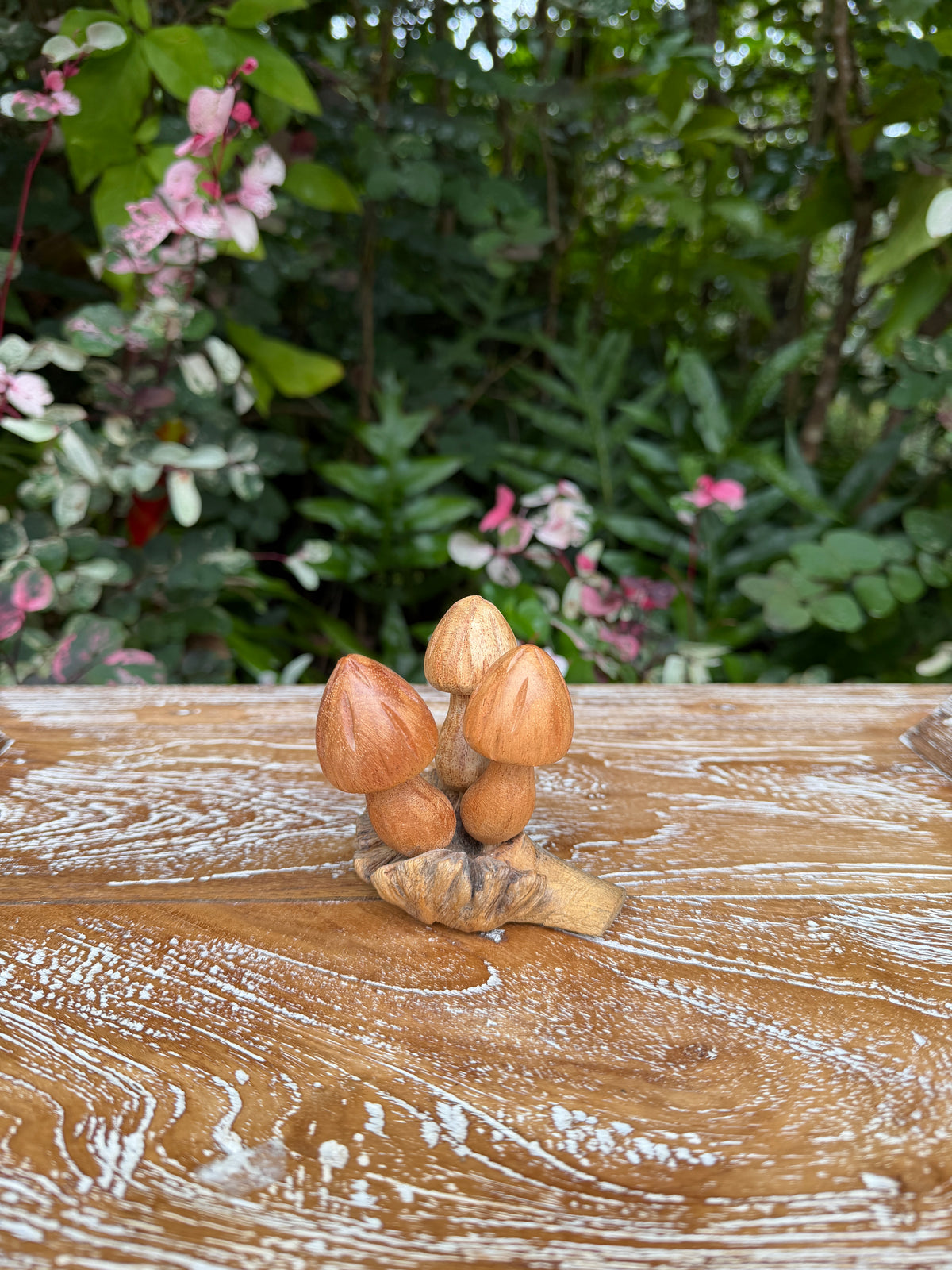 Hand-Carved Monkey Pod Mushroom Cluster · Mini Wood Sculpture
