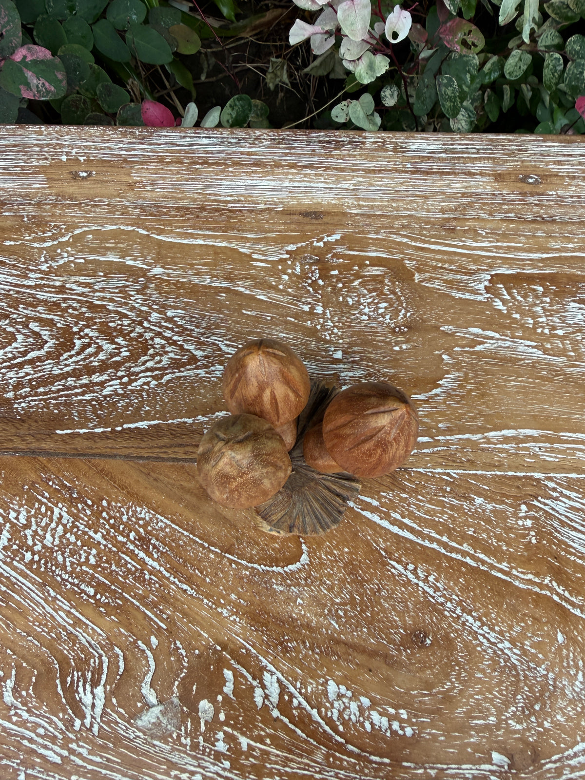 Hand-Carved Monkey Pod Mushroom Cluster · Mini Wood Sculpture