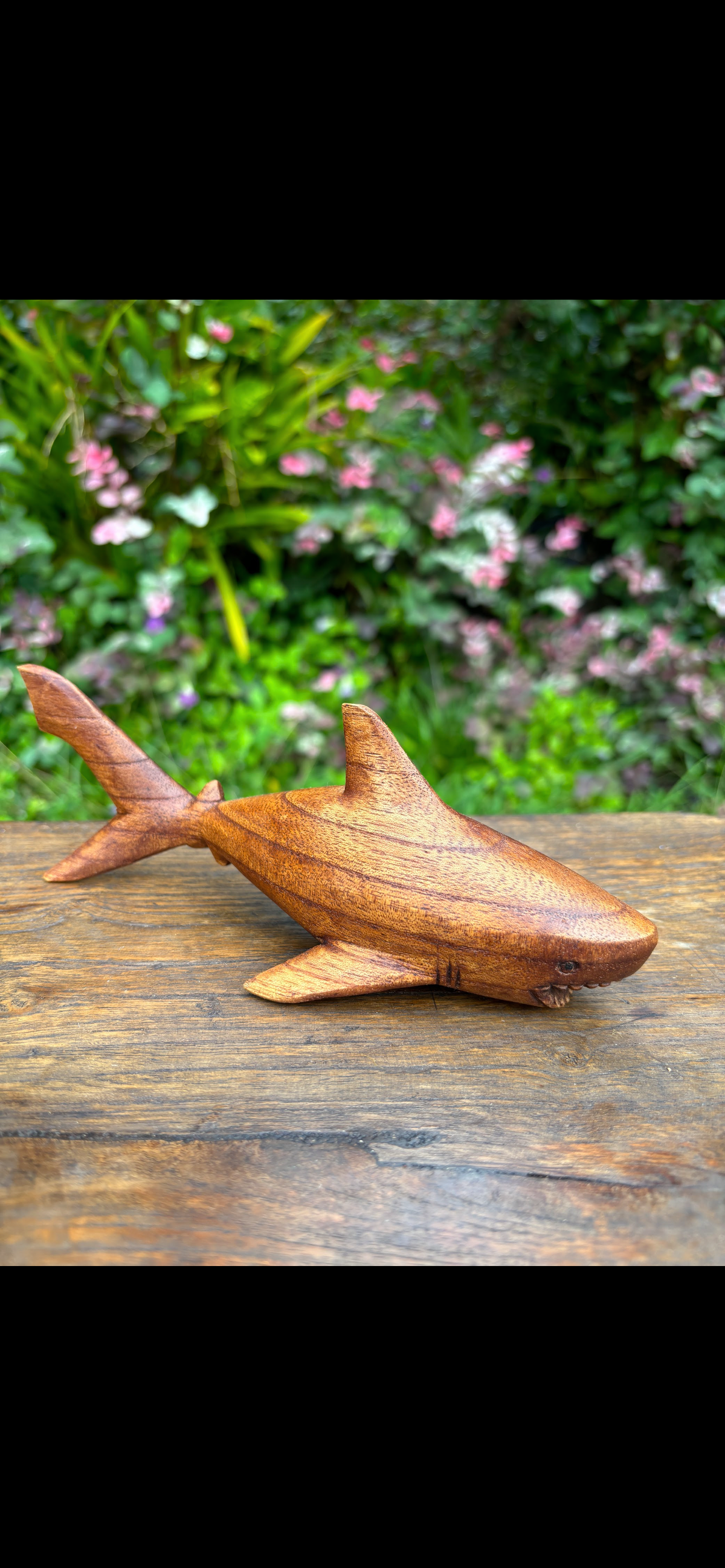 Hand-Carved Wooden Shark · 8" Manō