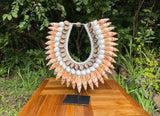 Spotted Cone & Cowrie Shell Necklace on Stand · Tribal Décor