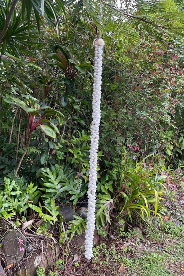 Long White Shell Hanging Strand · 4ft Coastal Décor