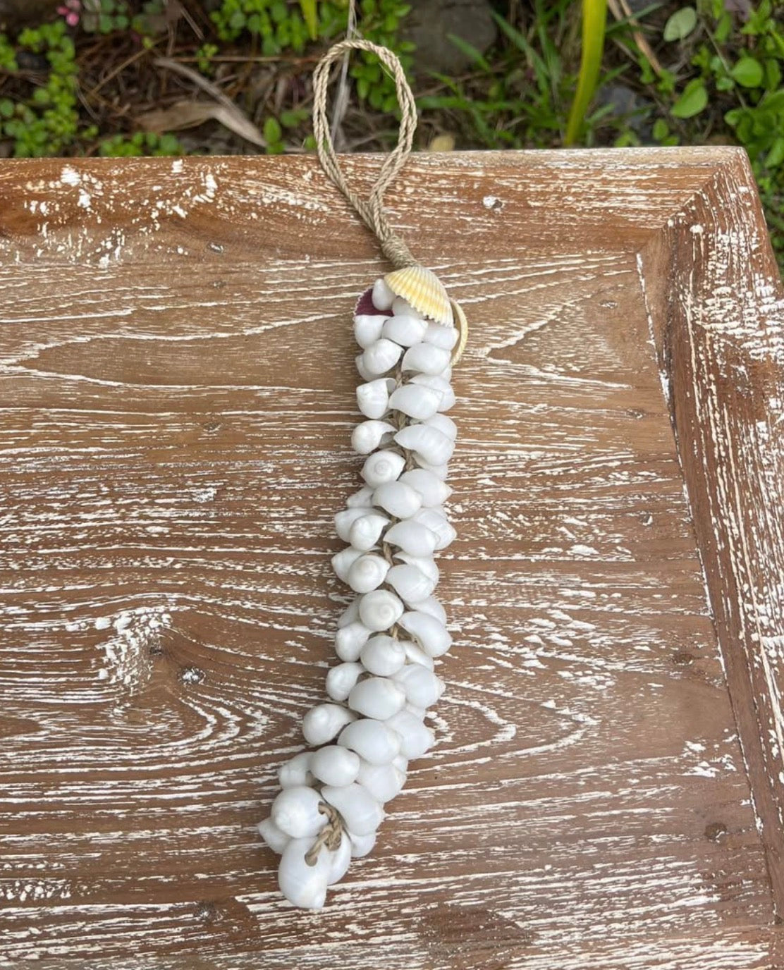 Mini White Shell Hanging Strand · 16" Coastal Accent