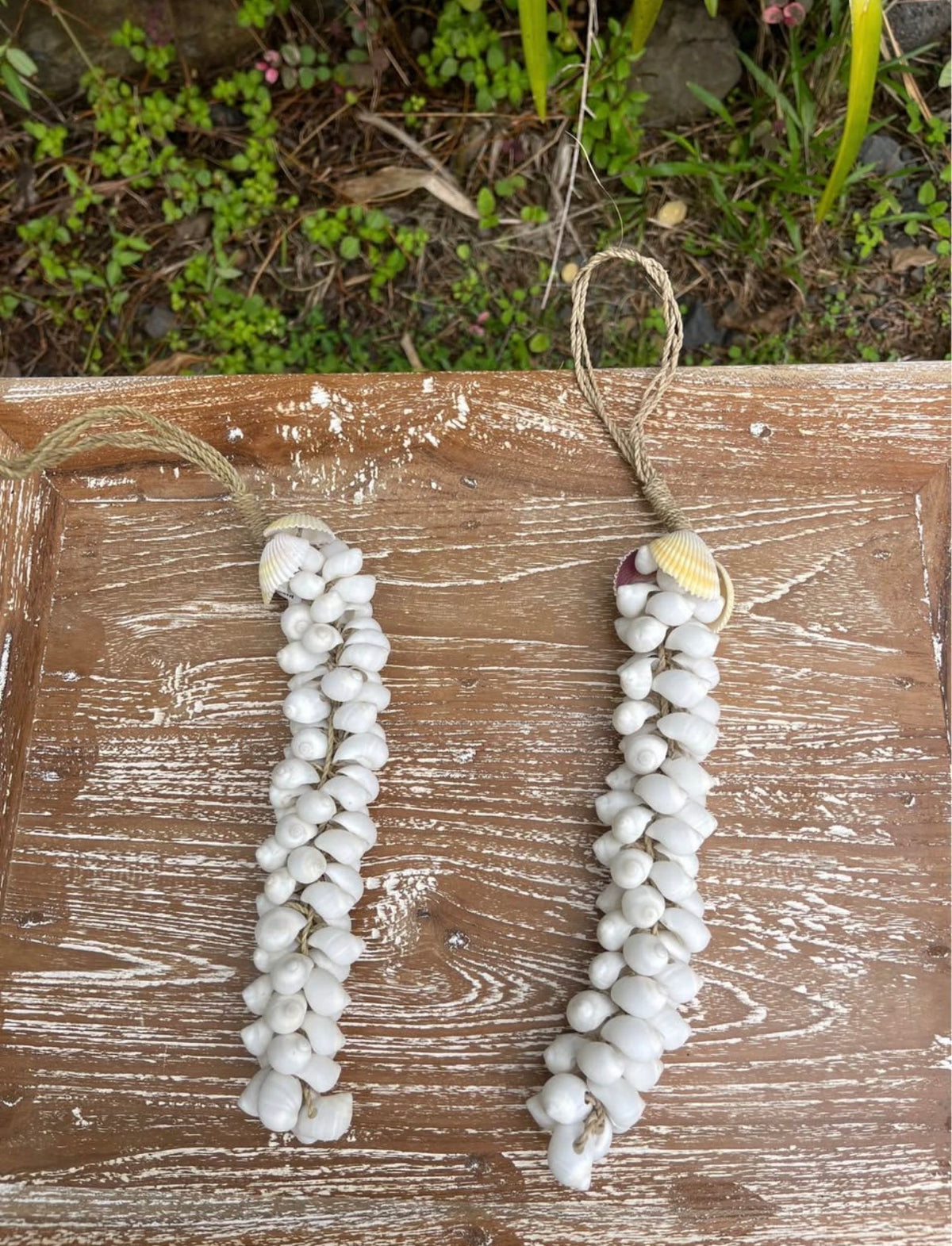 Mini White Shell Hanging Strand · 16" Coastal Accent