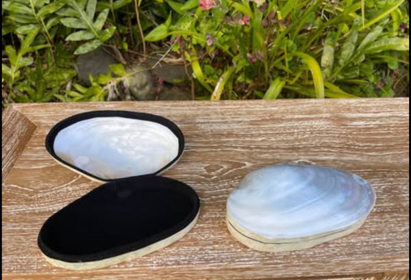 Mother of Pearl Shell Box · Velvet Lined Jewelry Box