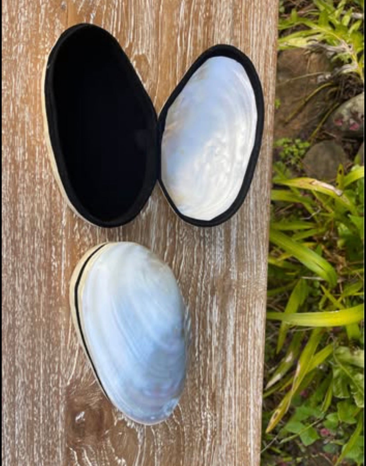 Mother of Pearl Shell Box · Velvet Lined Jewelry Box