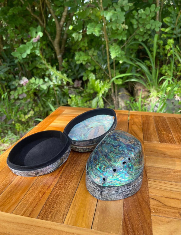 Abalone Shell Box · Iridescent Keepsake with Velvet Lining