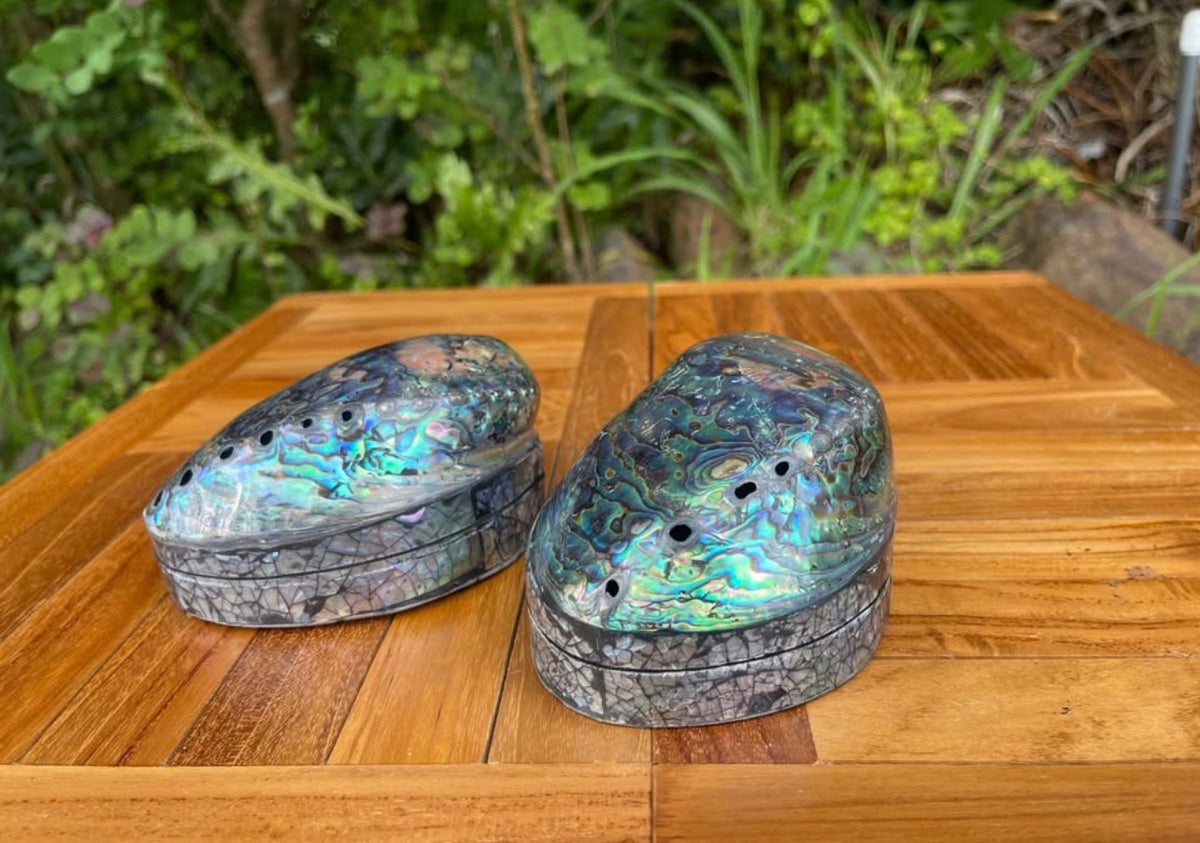Abalone Shell Box · Iridescent Keepsake with Velvet Lining
