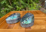 Abalone Shell Box · Iridescent Keepsake with Velvet Lining