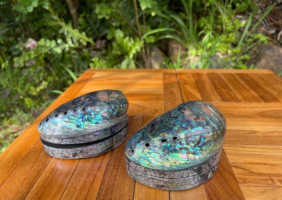 Abalone Shell Box · Iridescent Keepsake with Velvet Lining