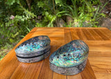 Abalone Shell Box · Iridescent Keepsake with Velvet Lining