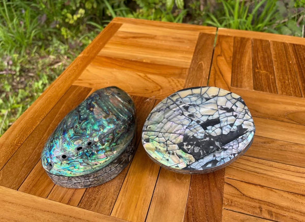 Abalone Shell Box · Iridescent Keepsake with Velvet Lining