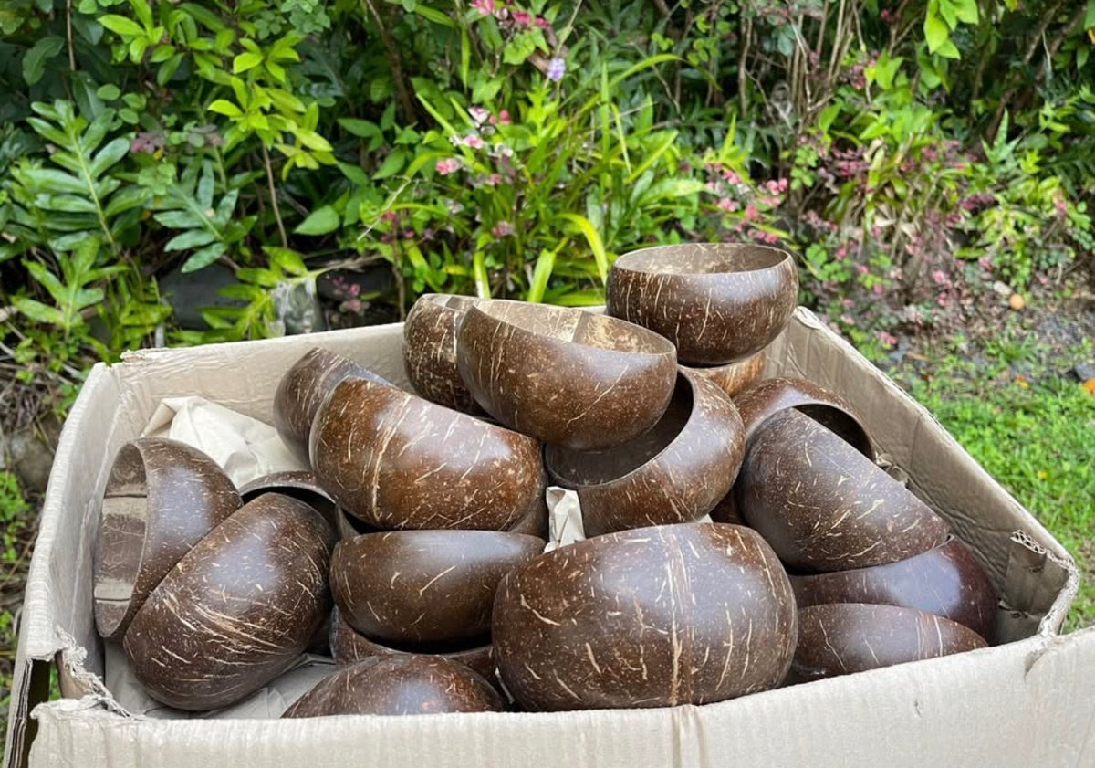 Natural Coconut Shell Bowl · Hand-Sanded · Eco-Friendly