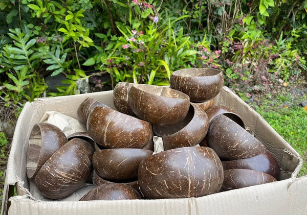 Natural Coconut Shell Bowl · Hand-Sanded · Eco-Friendly