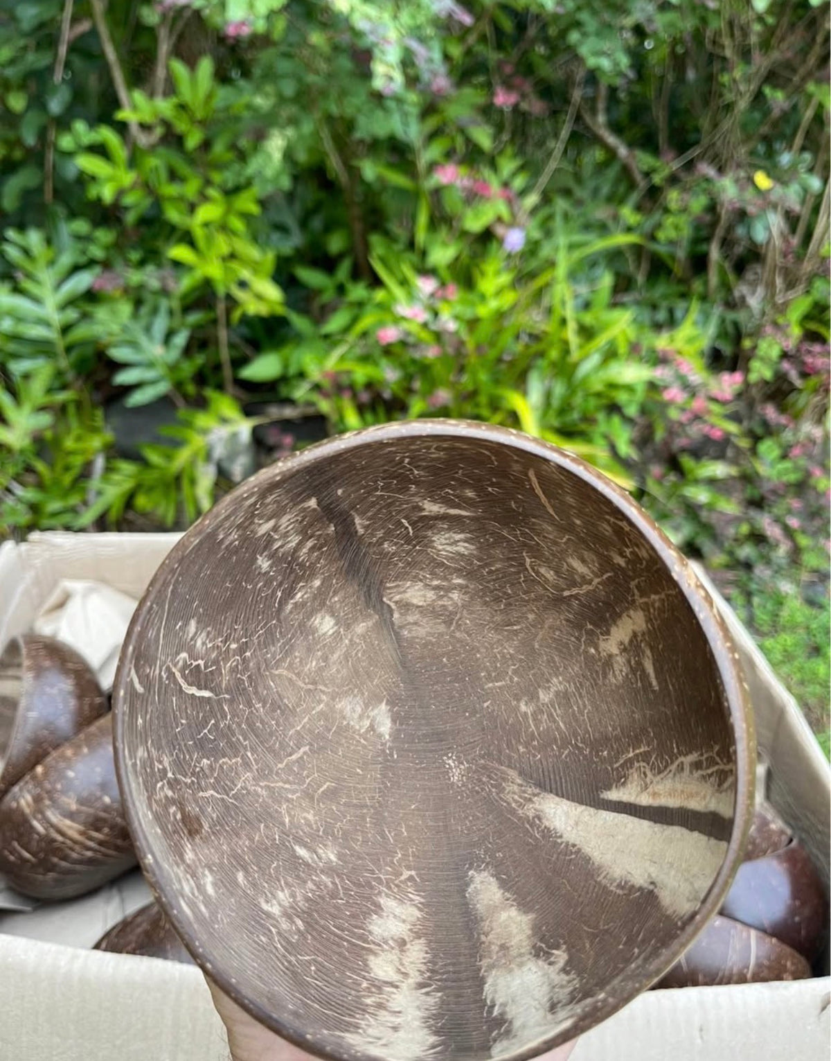 Natural Coconut Shell Bowl · Hand-Sanded · Eco-Friendly