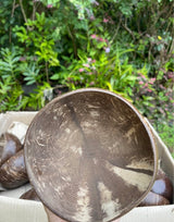 Natural Coconut Shell Bowl · Hand-Sanded · Eco-Friendly