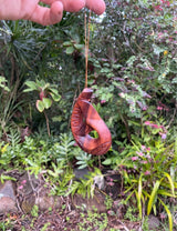 Hand-Carved Whale Tail Hook · Monkeypod Wood · Maui Ornament