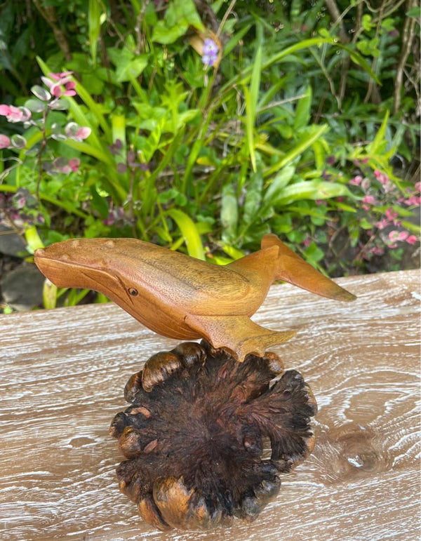 Hand-Carved Humpback Whale on Driftwood Base · Monkeypod Wood