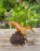 Hand-Carved Humpback Whale on Driftwood Base · Monkeypod Wood