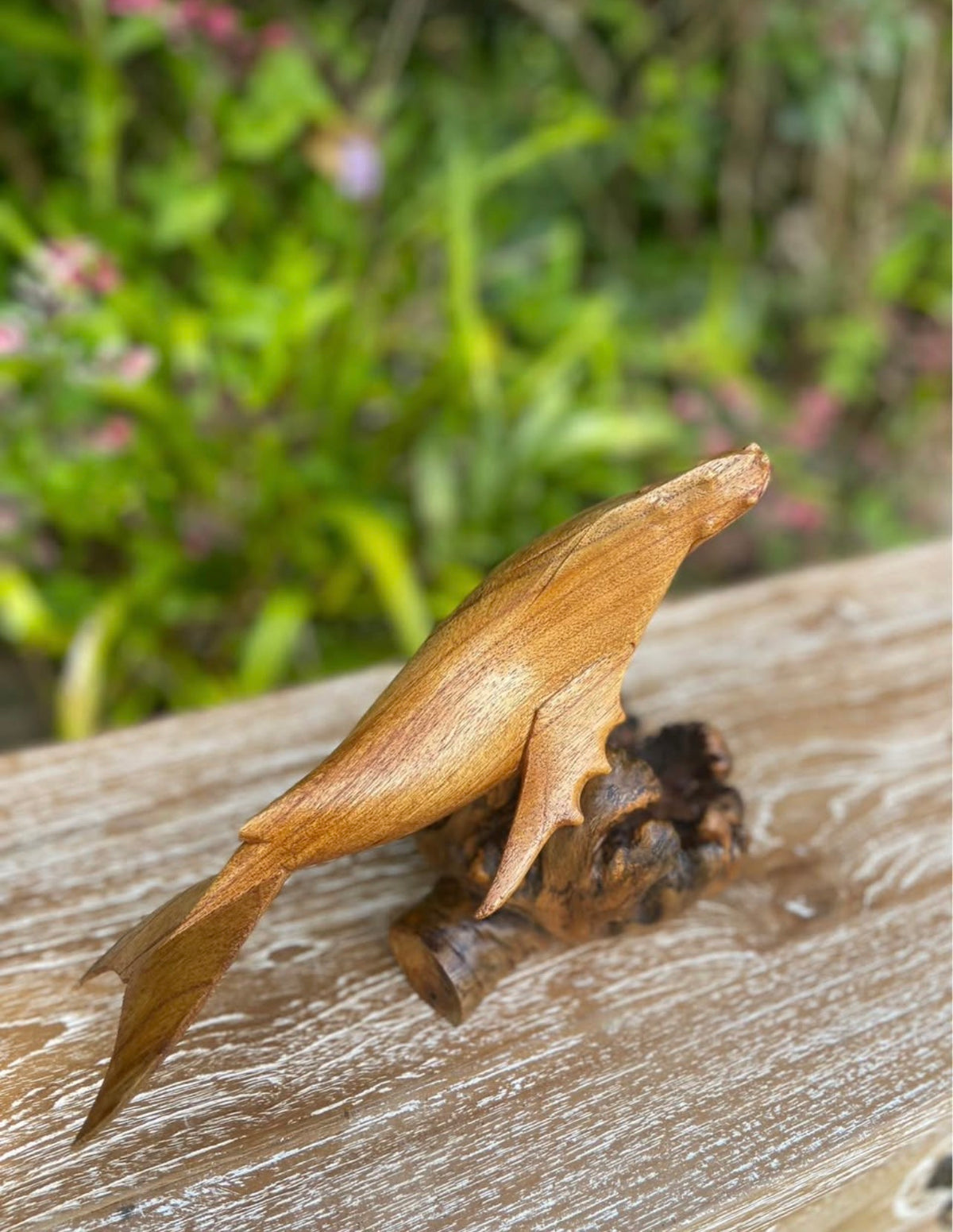 Hand-Carved Humpback Whale on Driftwood Base · Monkeypod Wood