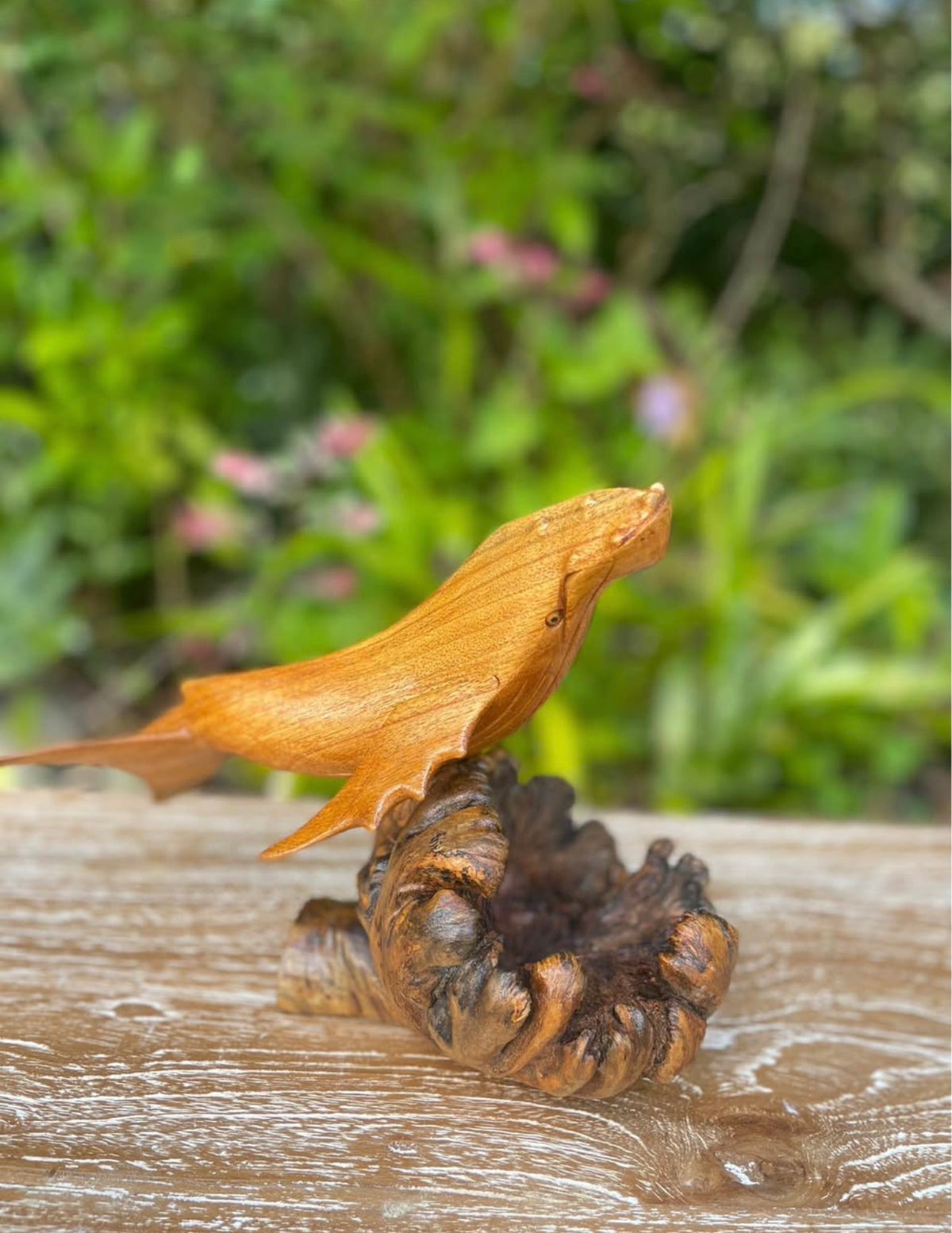 Hand-Carved Humpback Whale on Driftwood Base · Monkeypod Wood