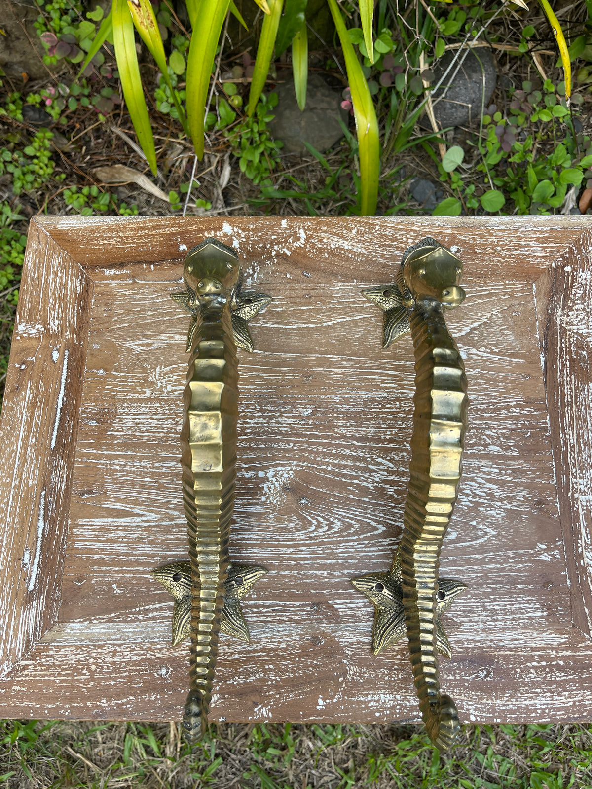 Solid Bronze Seahorse Door Handle · Hand-Cast · Starfish Mounting Plate · 13”