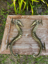 Solid Bronze Seahorse Door Handle · Hand-Cast · Starfish Mounting Plate · 13”