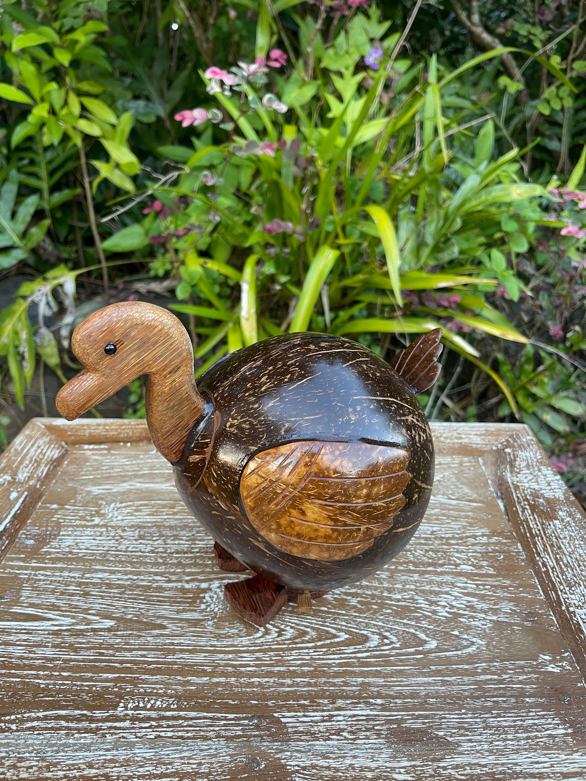 Coconut Shell Duck Coin Bank · Handmade Piggy Bank · Tropical Décor