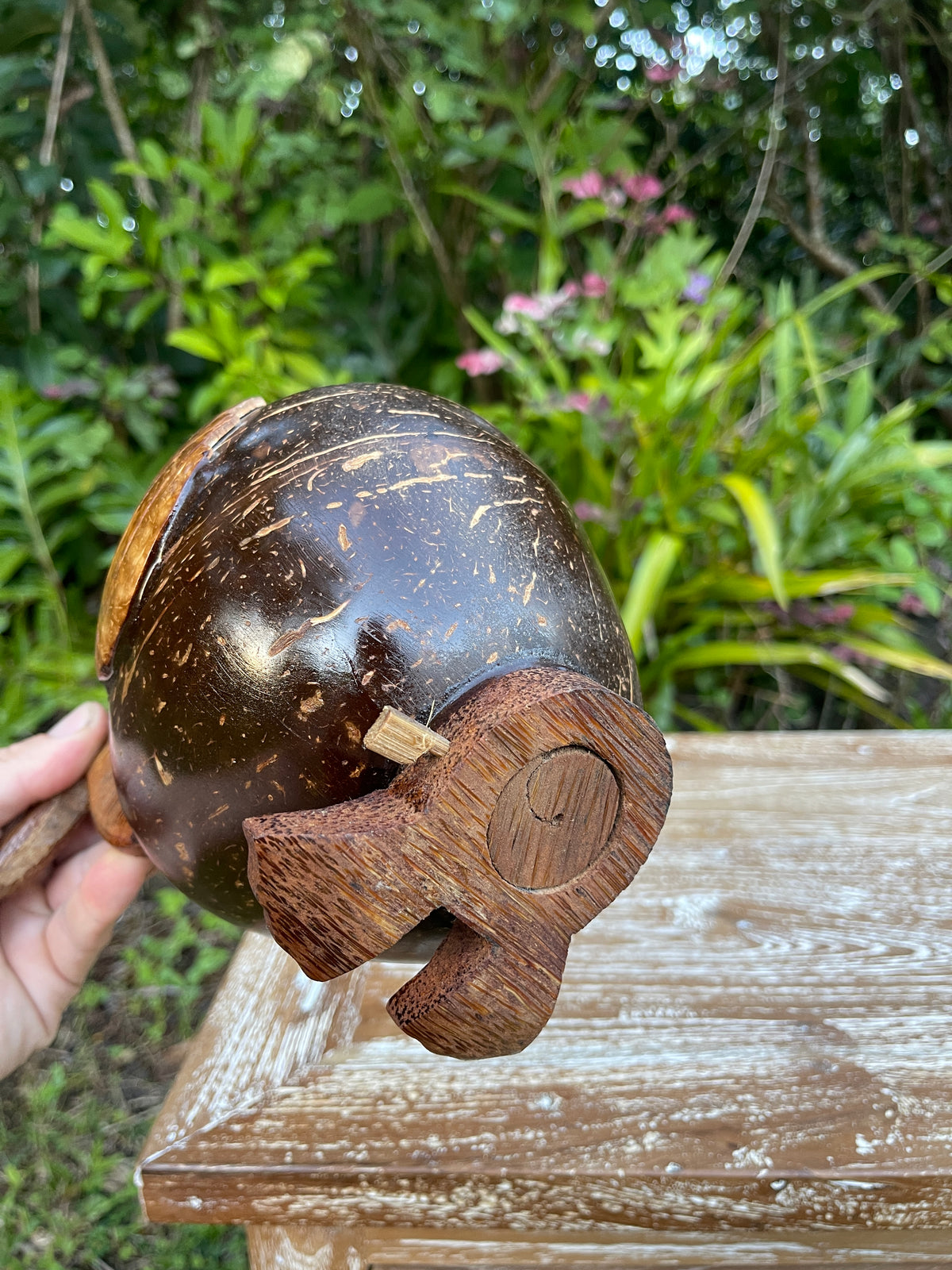 Coconut Shell Duck Coin Bank · Handmade Piggy Bank · Tropical Décor