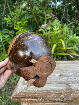Coconut Shell Duck Coin Bank · Handmade Piggy Bank · Tropical Décor